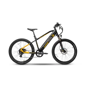 Ampere X-Trail Black available on the cycle scheme